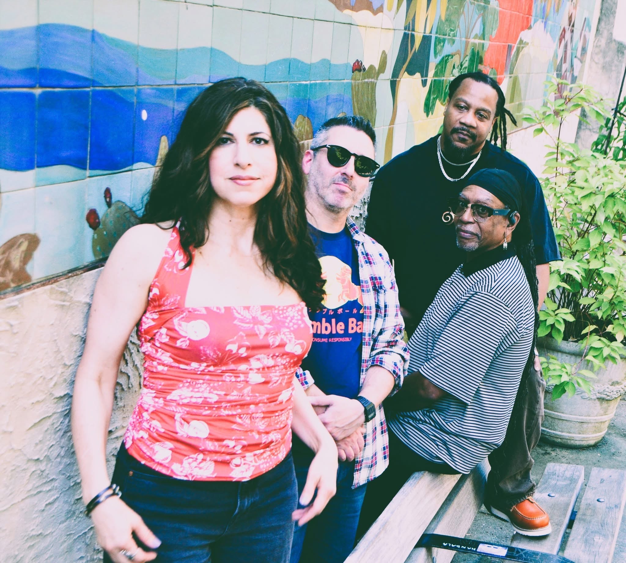 Black Cat Habitat - Acoustic