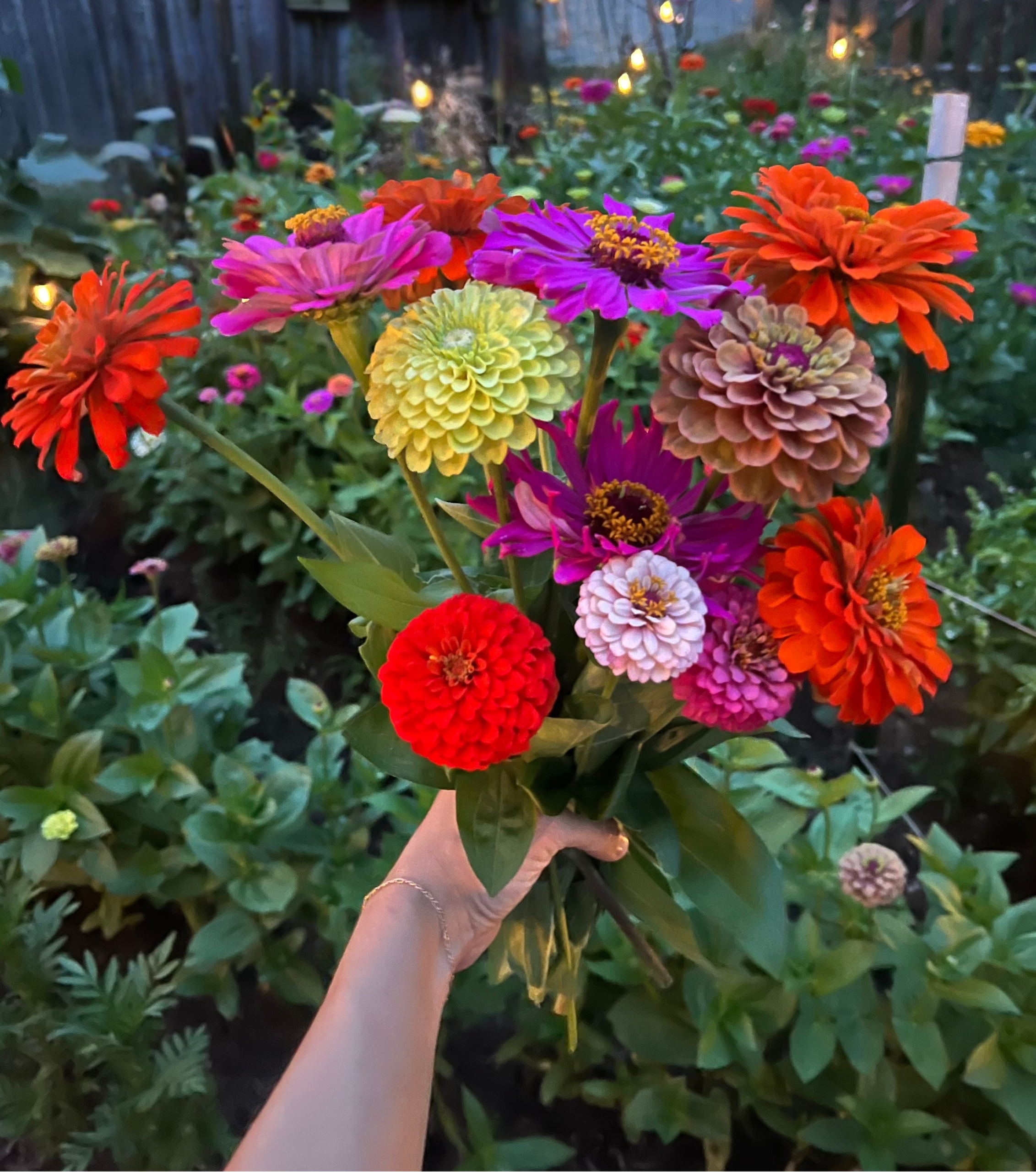 Quarry Street Flowers